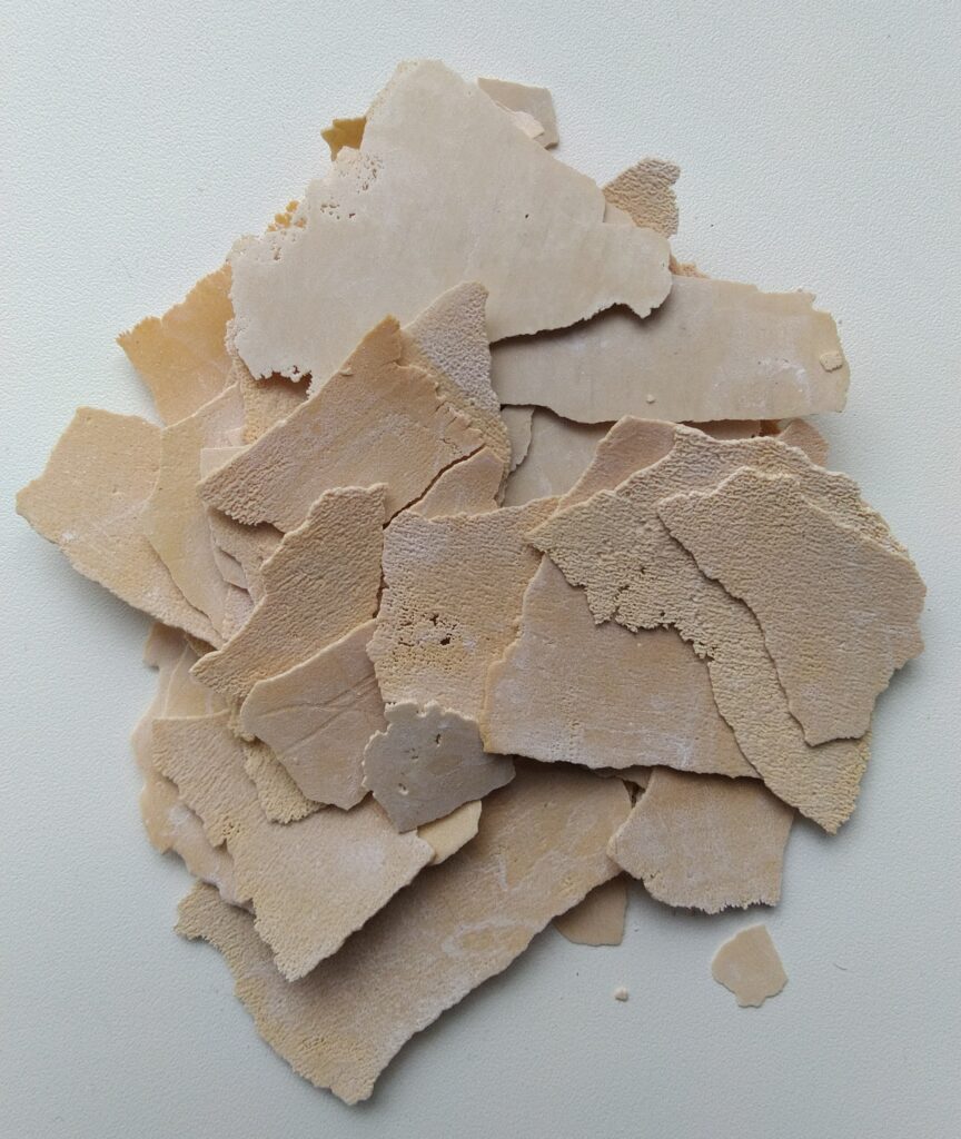 Several pale, irregular flakes of mineral scale removed from a kettle.
